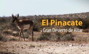 Pinacate and Great Desert of Altar Biosphere Reserve - Sonoran Spa Reservations
