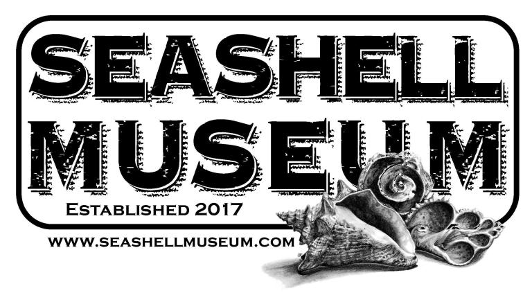 The Seashell Museum