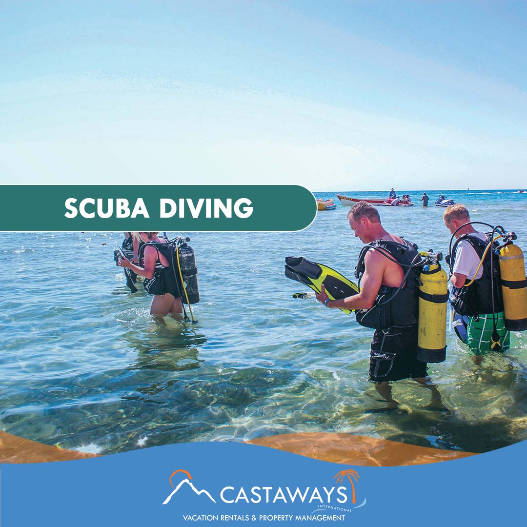 Rocky Point Activities - Scuba Diving, Sonoran Spa Puerto Peñasco, Mexico Arizona