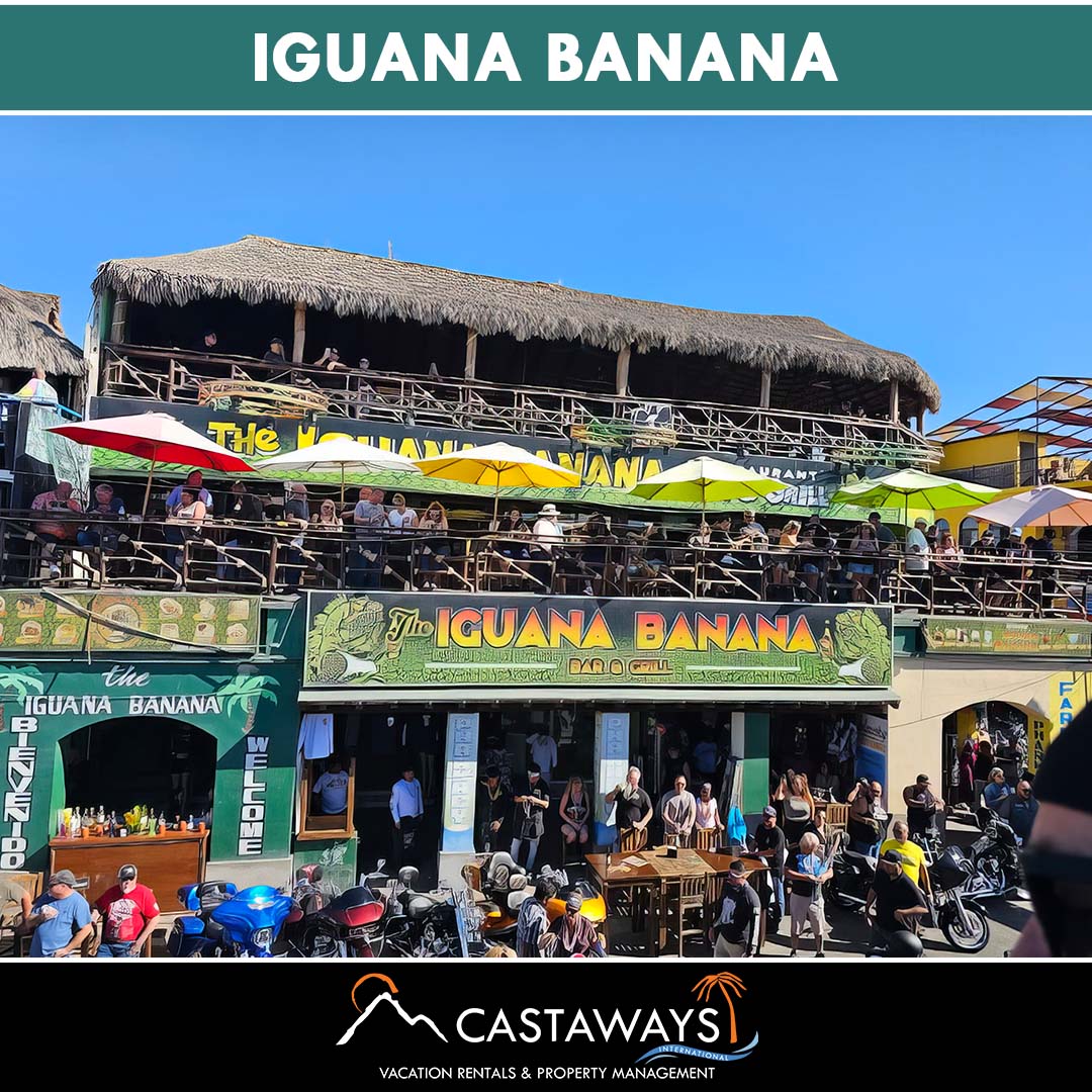 Rocky Point Bars and Nightlife - Iguana Banana, Sonoran Spa Puerto Peñasco, Mexico Arizona Usa