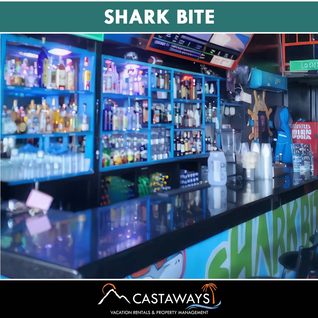 Rocky Point Bars and Nightlife - Shark Bite, Sonoran Spa Puerto Peñasco, Mexico Arizona Usa