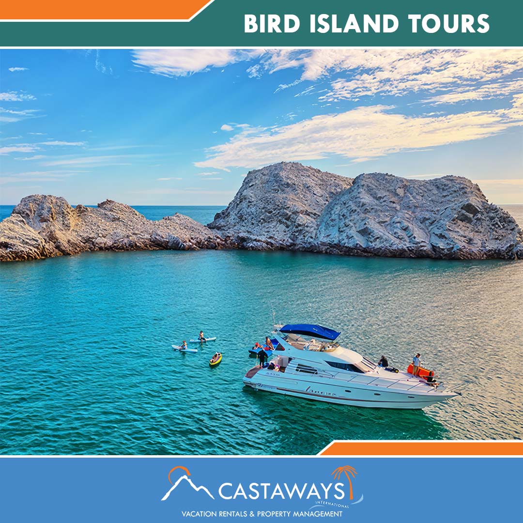 Rocky Point Things to Do - Bird Island Tours, Sonoran Spa Puerto Peñasco, Mexico Arizona USA