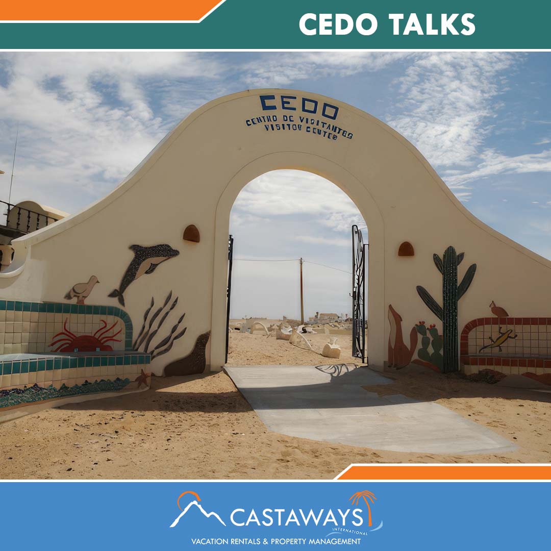 Rocky Point Things to Do - CEDO Talks, Sonoran Spa Puerto Peñasco, Mexico Arizona USA