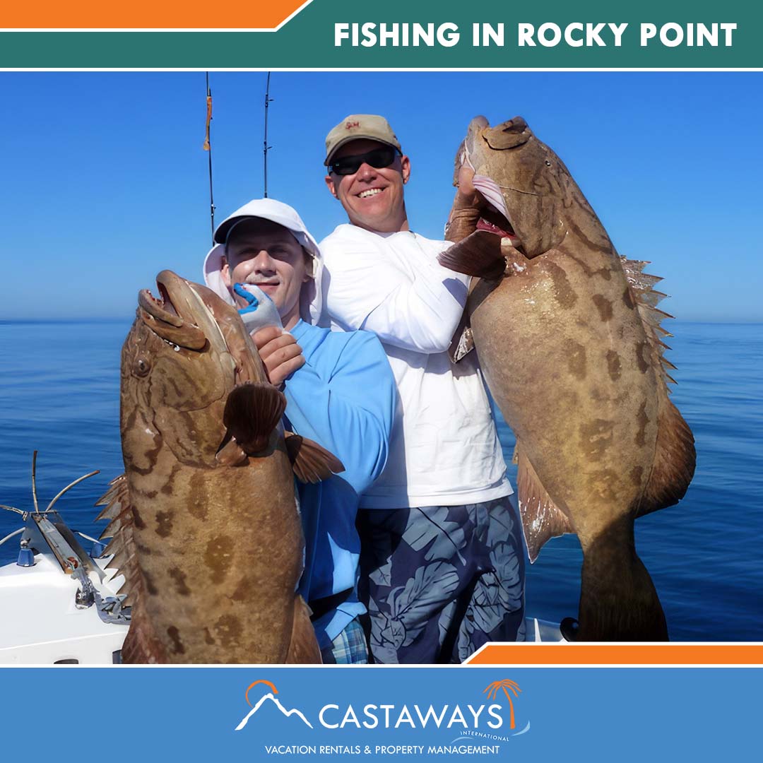 Rocky Point Things to Do - Fishing, Sonoran Spa Puerto Peñasco, Mexico Arizona USA