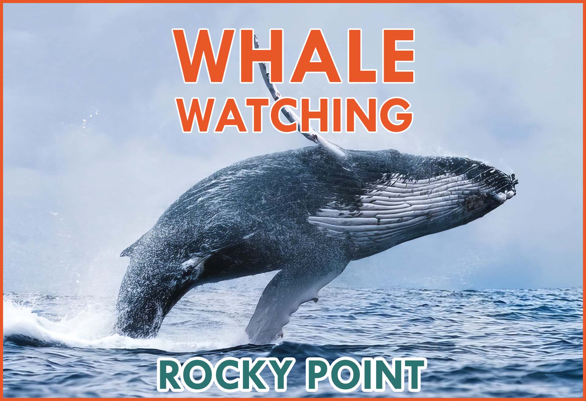Whale Watching Rocky Point - Sonoran Spa Resort Reservations Puerto Peñasco, Mexico Arizona USA